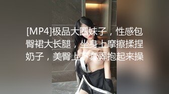 [MP4]极品大圈妹子，性感包臀裙大长腿，坐身上摩擦揉捏奶子，美臀上下套弄抱起来操