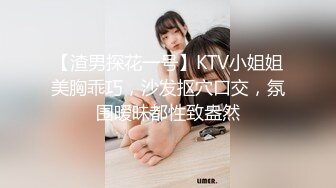 【渣男探花一号】KTV小姐姐美胸乖巧，沙发抠穴口交，氛围暧昧都性致盎然