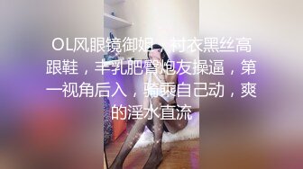 OL风眼镜御姐，衬衣黑丝高跟鞋，丰乳肥臀炮友操逼，第一视角后入，骑乘自己动，爽的淫水直流