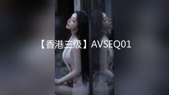 【香港三级】AVSEQ01