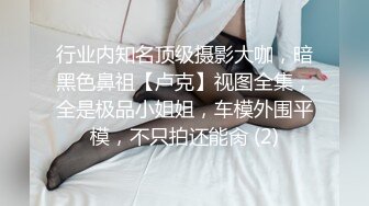 行业内知名顶级摄影大咖，暗黑色鼻祖【卢克】视图全集，全是极品小姐姐，车模外围平模，不只拍还能肏 (2)