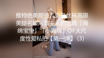 推特绝美颜值九头身丝袜高跟美腿名媛网黄主人的玩具「海绵宝宝」「小海绵」OF大尺度性爱私拍【第一弹】 (3)