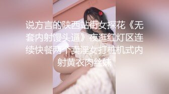 说方言的陕西站街女探花《无套内射馒头逼》夜逛红灯区连续快餐两个卖淫女打桩机式内射黄衣肉丝妹