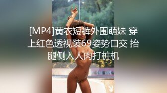 [MP4]黄衣短裤外围萌妹 穿上红色透视装69姿势口交 抬腿侧入人肉打桩机