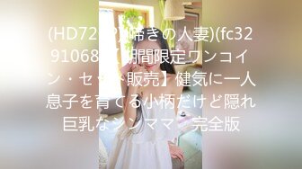 (HD720P)(啼きの人妻)(fc3291068)【期間限定ワンコイン・セット販売】健気に一人息子を育てる小柄だけど隠れ巨乳なシンママ　完全版