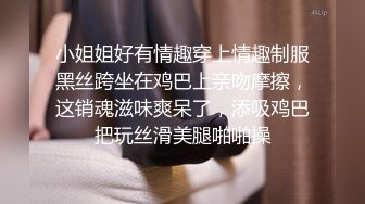 小姐姐好有情趣穿上情趣制服黑丝跨坐在鸡巴上亲吻摩擦，这销魂滋味爽呆了，添吸鸡巴把玩丝滑美腿啪啪操