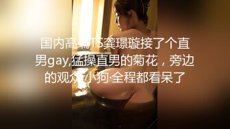 国内高端TS龚璟璇接了个直男gay,猛操直男的菊花，旁边的观众·小狗·全程都看呆了