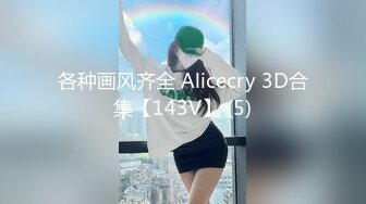 各种画风齐全 Alicecry 3D合集【143V】 (5)