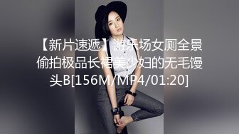 【新片速遞】游乐场女厕全景偷拍极品长裙美少妇的无毛馒头B[156M/MP4/01:20]