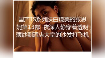 国产TS系列肤白貌美的张思妮第13部  夜深人静穿着透明薄纱到酒店大堂的沙发打飞机