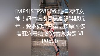 [MP4]STP28506 腿模网红女神！超性感！网袜高跟鞋腿玩年，脱下豹纹内裤，按摩器怼着骚穴震动 掰穴塞入爽翻 VIP0600