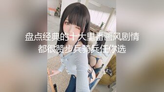 盘点经典的十大里番画风剧情都很赞步兵骑兵任你选