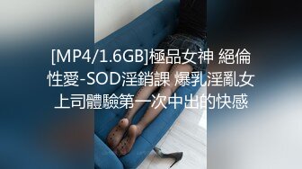 [MP4/1.6GB]極品女神 絕倫性愛-SOD淫銷課 爆乳淫亂女上司體驗第一次中出的快感