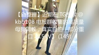 【自整理】近期在 TG搜索:@kbb108 电报群收集的高质量母狗调教，真实自拍，部分重口【154V】 (149)