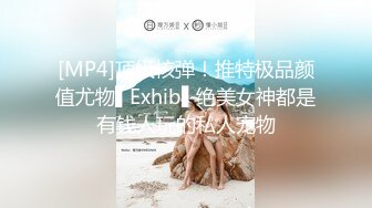 [MP4]顶级核弹！推特极品颜值尤物▌Exhib▌绝美女神都是有钱人玩的私人宠物