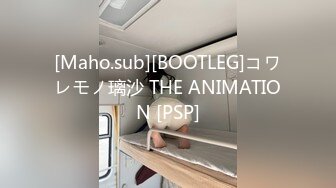 [Maho.sub][BOOTLEG]コワレモノ璃沙 THE ANIMATION [PSP]