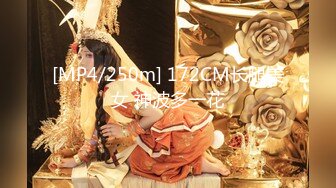 [MP4/250m] 172CM长腿美女 神波多一花