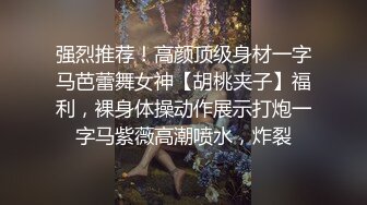 强烈推荐！高颜顶级身材一字马芭蕾舞女神【胡桃夹子】福利，裸身体操动作展示打炮一字马紫薇高潮喷水，炸裂