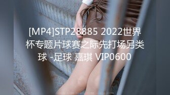 [MP4]STP28885 2022世界杯专题片球赛之际先打场另类球 -足球 嘉琪 VIP0600