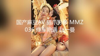 国产麻豆AV 猫爪影像 MMZ036 修车艳遇 赵一曼