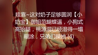 哇靠~这对奶子足够圆润【小奶宝】御姐范蝴蝶逼，小狗式高抬腿，桃源洞已经湿得一塌糊涂，兄弟们操她 (4)