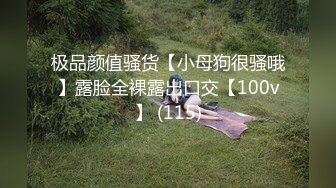 极品颜值骚货【小母狗很骚哦】露脸全裸露出口交【100v】 (115)