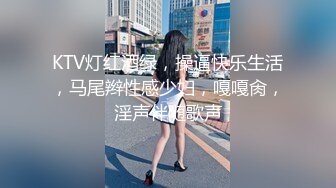 KTV灯红酒绿，操逼快乐生活，马尾辫性感少妇，嘎嘎肏，淫声伴随歌声