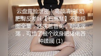 云盘露脸泄密！高颜清纯E奶肥臀反差妹【石高慧】不雅视图全集，还求爸爸肏，对话淫荡，可惜了被个纹身肥猪佬各种蹂躏 (1)