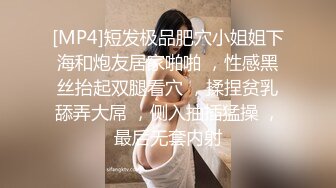 [MP4]短发极品肥穴小姐姐下海和炮友居家啪啪 ，性感黑丝抬起双腿看穴 ，揉捏贫乳舔弄大屌 ，侧入抽插猛操 ，最后无套内射